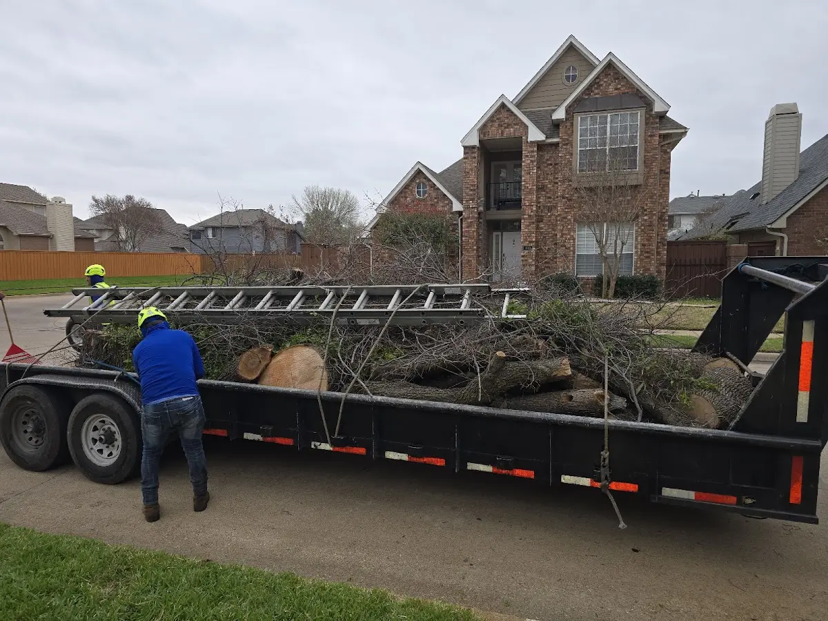Expert Tree Fertilization with proper safety equipment in Saddle Brook
